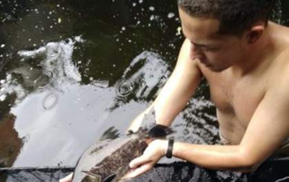 Três-lagoense cria em casa 1.200 peixes integrado ao cultivo de plantas