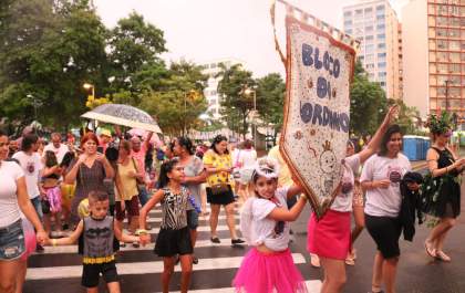 Bloco do Gordinho anima carnaval em Araçatuba; veja fotos