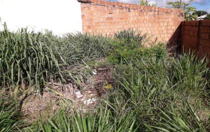 Suspeito de violência doméstica é encontrado morto&nbsp;