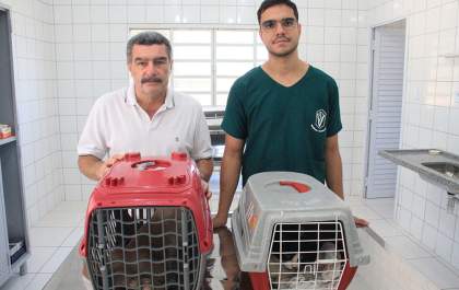 Governo de Andradina mantém agendamento para castração de gatos machos