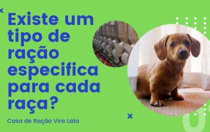 Conheça o tipo de ração certa para cada raça