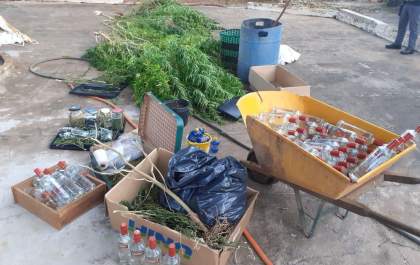 Preso em chácara abasteceria 60 famílias com maconha