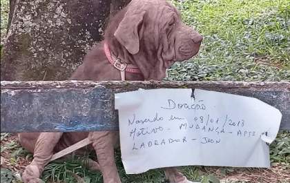 Cachorro é abandonado com bilhete