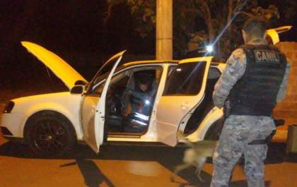 PM e PF com apoio de cães realizam operação contra o crime organizado