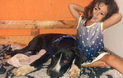 Apelo: Criança pede ajuda para encontrar seu cachorrinho perdido