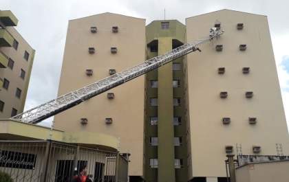 Bombeiros são chamados após ataque de abelhas em Birigui