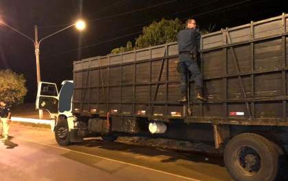 PM e PRF apreendem caminhão com gado de origem suspeita