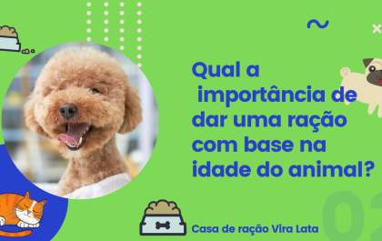 Qual a importância da idade do pet na escolha da ração?