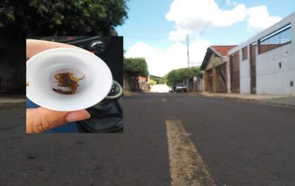 É estável o quadro de saúde da criança picada por escorpião em Castilho