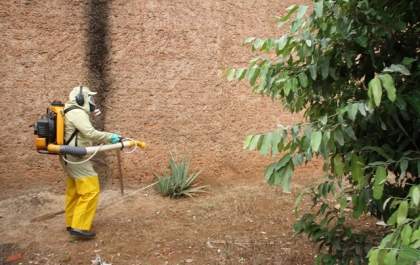 Birigui descarta quatro mortes suspeitas por dengue