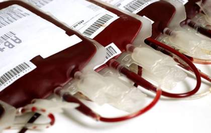 Einstein e Sírio-Libanês recebem autorização para usar plasma de pacientes curados de coronavírus