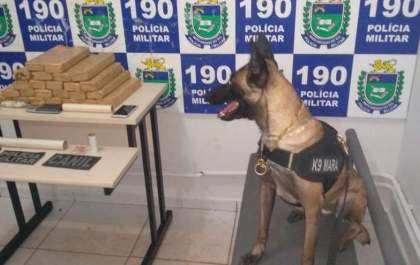 Homem tenta agredir policial ao ser flagrado com 18,4 kg de maconha
