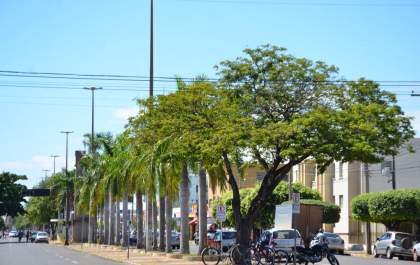 Quarta-feira de tempo firme e máxima de 37°C