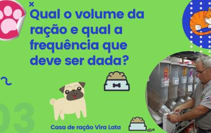 Qual a frequência e o volume de ração ideal para o pet?