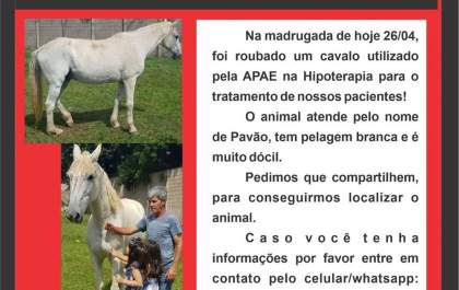Post sobre roubo de cavalo da Apae não é de Andradina