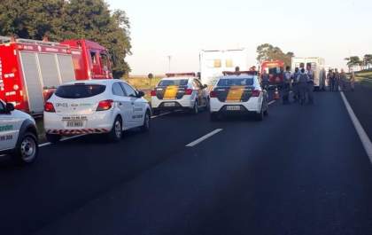 Carro que atropelou e matou policial carregava 394 quilos de maconha