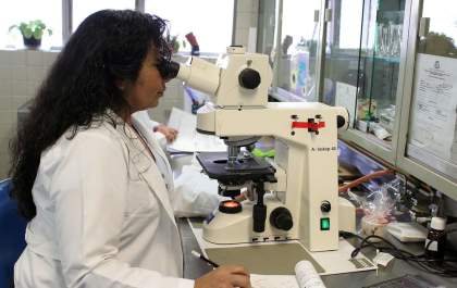 Pesquisadores analisam as consequências da Covid-19 em idosos