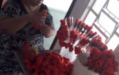 Florista três-lagoense pede ajuda durante pandemia