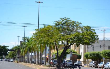 Feriado do Trabalhador será de tempo firme e máxima de 36°C no Estado