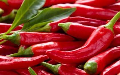 Pimenta