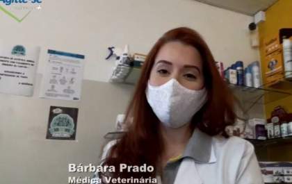 Saiba quais cuidados tomar com os bichos de estimação em tempos de pandemia