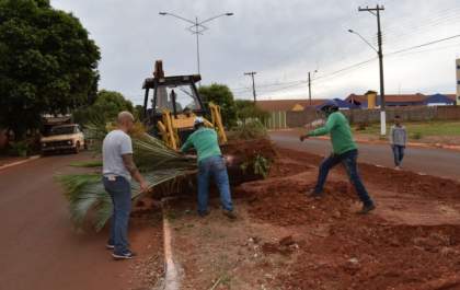 Prefeitura inicia projeto de revitalização na Avenida João Selvírio de Souza