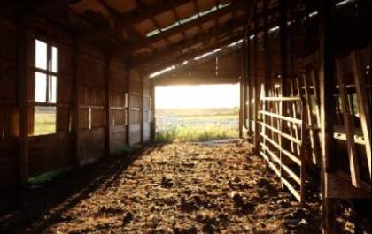 Trabalhador rural de 65 anos morre pisoteado por boiada