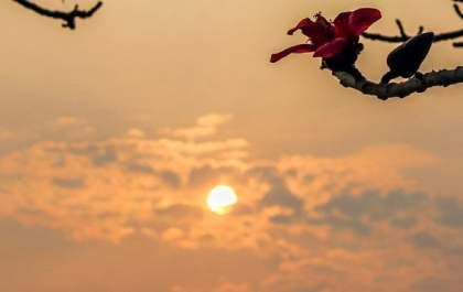 Segunda-feira de tempo firme e temperaturas em elevação