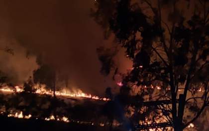 Queimadas já sobrecarregam Corpo de Bombeiros