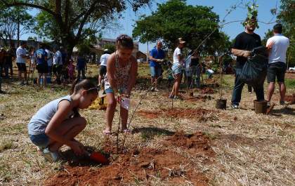 Programa de Educação Ambiental é item único da sessão desta segunda