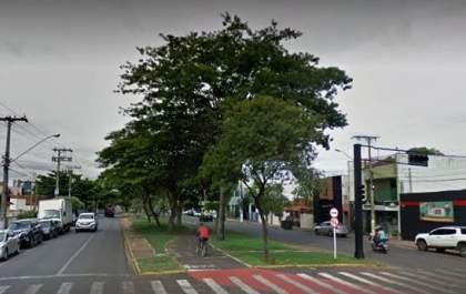 Denúncia: Árvores na Avenida Fillinto Muller podem estar sendo envenenadas