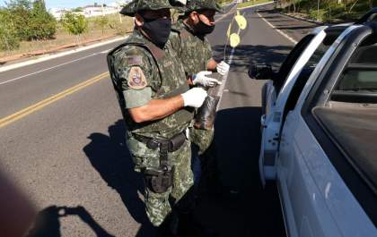 PM Ambiental distribui mudas de árvores