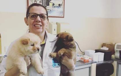Clínica Veterinária Bichomania completa 20 anos de experiência, amor, cuidado e dedicação a vida dos pets