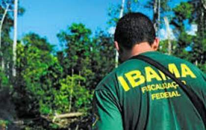 Ibama pode contratar 1.481 trabalhadores temporários