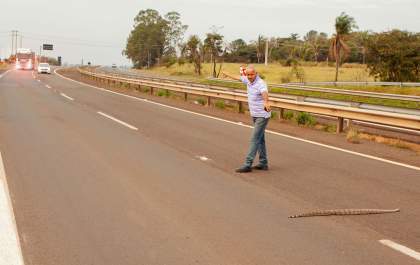 Motorista arrisca a vida na Rondon para salvar cobra