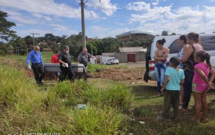 Cachorro ajudou a localizar o corpo de idoso dentro de valeta