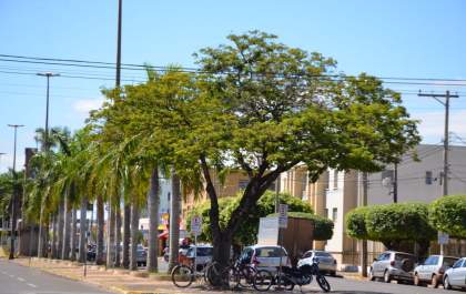 Três Lagoas registra um óbito suspeito e mais 02 casos positivos de COVID-19&nbsp;