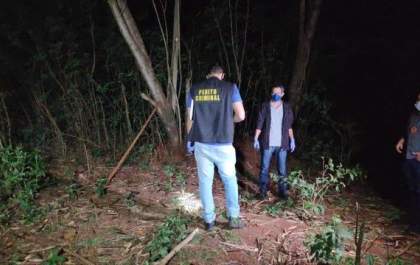Criança de 10 anos morre após cair de árvore em MS