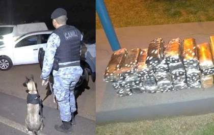 Polícia Militar de Brasilândia apreende 43 quilos de Maconha&nbsp;