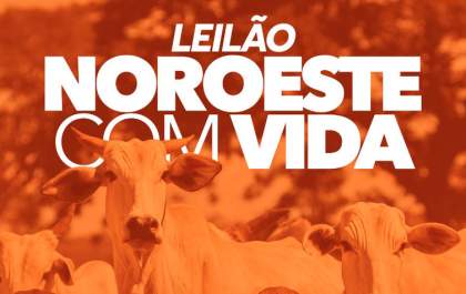 Movimento realiza leilão para ajudar hospitais públicos da região