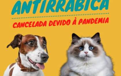 Saúde suspende Campanha de Vacinação Antirrábica em Três Lagoas