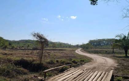 Mulher de Castilho ganha multa de quase R$ 1,5 milhão por usar área de preservação para fazer pasto