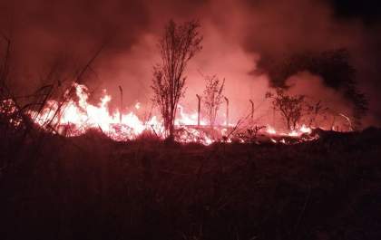 Incêndio atinge área de mata ao lado de empresa e assusta trabalhadores