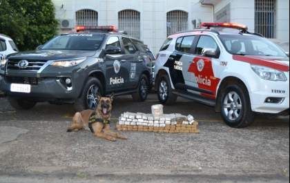 Casais presos transportavam mais de 80 tabletes de maconha