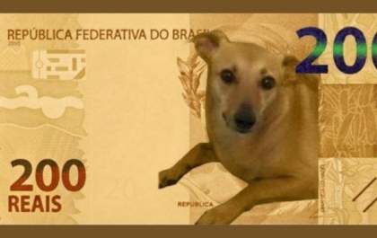 Fora da nota de R$ 200, vira-lata caramelo deve ‘virar moeda’