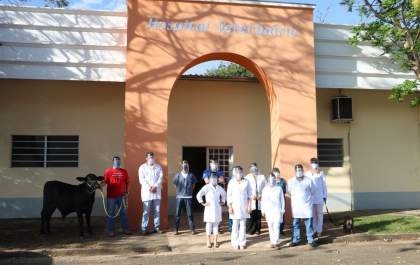 Com mais de mil atendimentos por ano, hospital veterinário retoma atividades