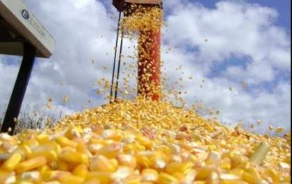 Mato Grosso do Sul tem a 5ª maior produção de grãos do país
