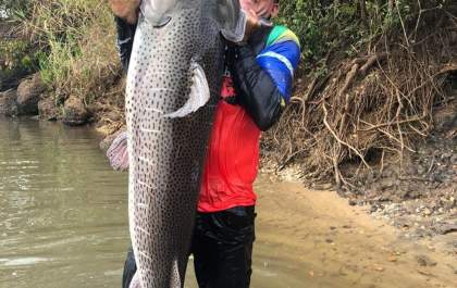 Professor captura peixe de 1,73 m e mais de 50 kg em rio de MS