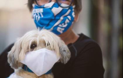 Uso de máscaras em cães e gatos é necessário em tempos de pandemia? - Entenda!
