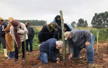 Produtores e trabalhadores rurais aprendem a cultivar uvas na região